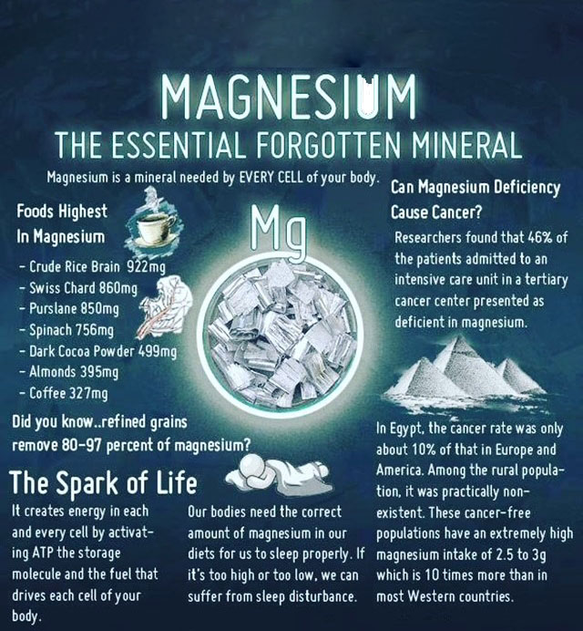 Magnesium The Essential Forgotten Mineral